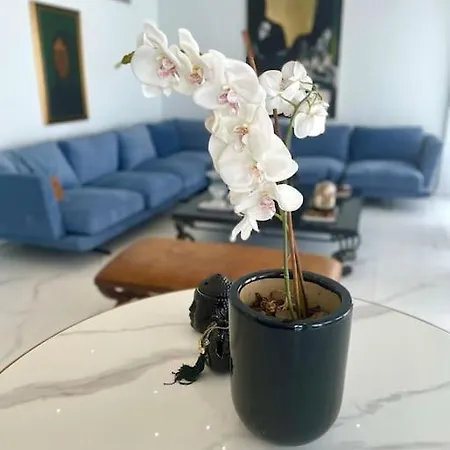 Penthouse Luxury Nikósie